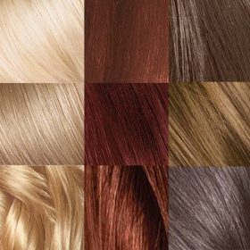 LOreal Paris Infinia Preference Hair Color